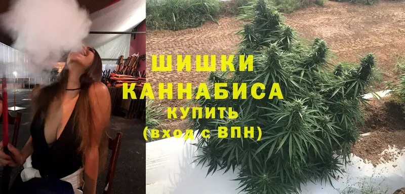 цены наркотик  Киренск  Бошки Шишки THC 21% 